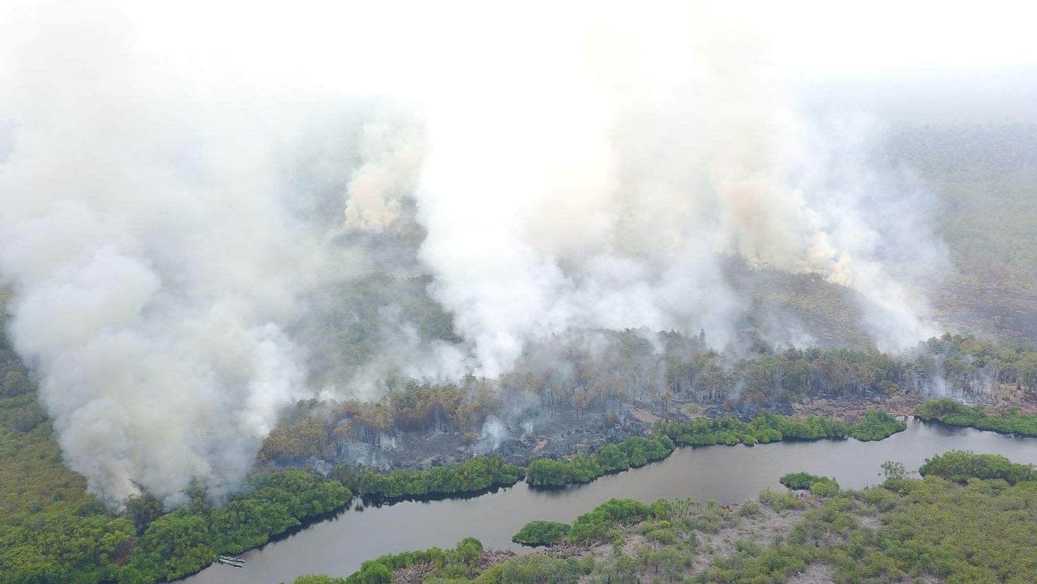 Brennende Torfmoorwälder auf Borneo mit viel Rauch