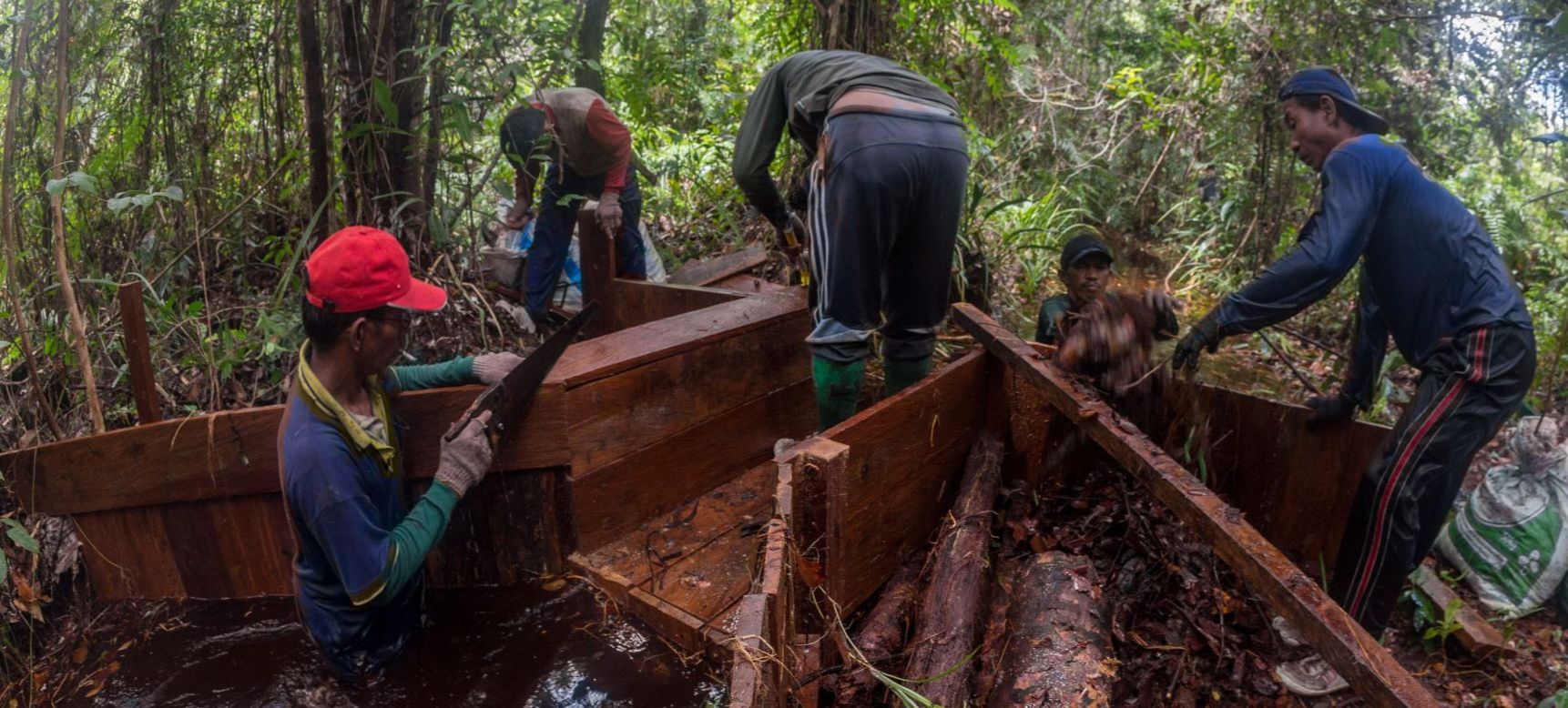 Fünf Männer beim Bau eines Dammes gegen die Entwässerung der Sumpfregenwälder auf Borneo.