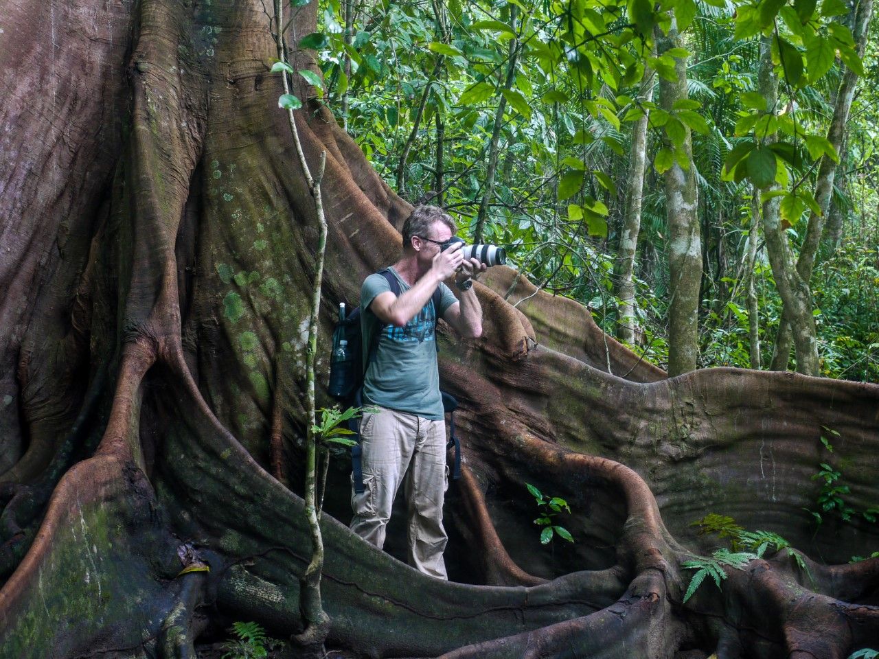 Stefan Rother beim Fotografieren neben grossen Brettwurzeln.