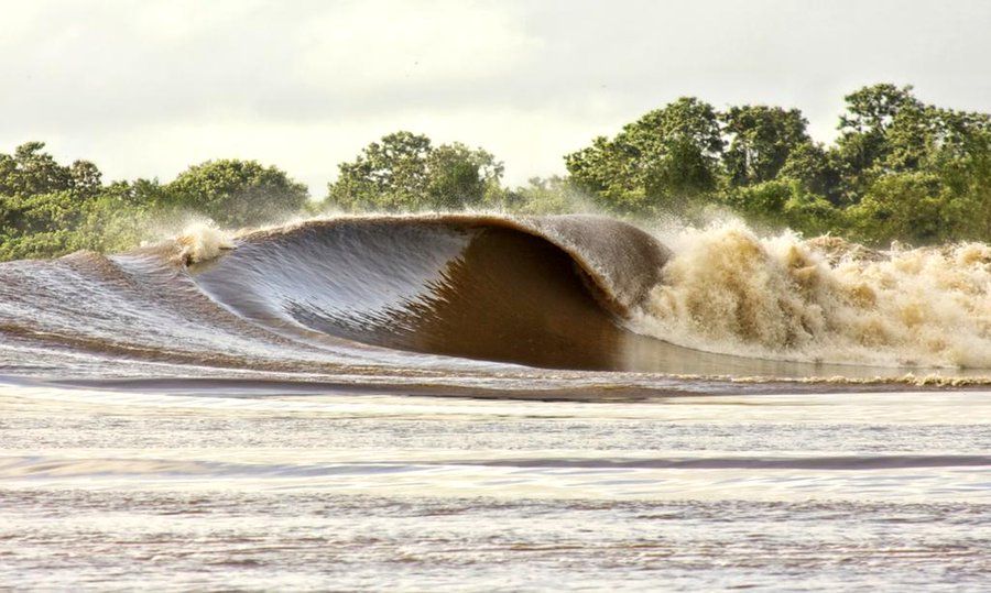 Pororoca, die Riesenwelle auf dem Amazonas-Fluss.